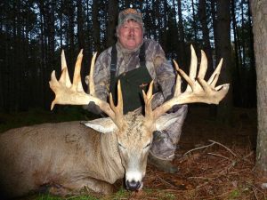 Wilderness Whitetails